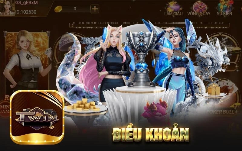 Thông tin chi tiết về điều khoản twin68